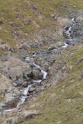 Arroyo