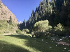 Bosques de abetos del desfiladero