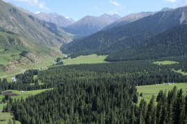 Vista panorámica del desfiladero local (Djety-Oguz)